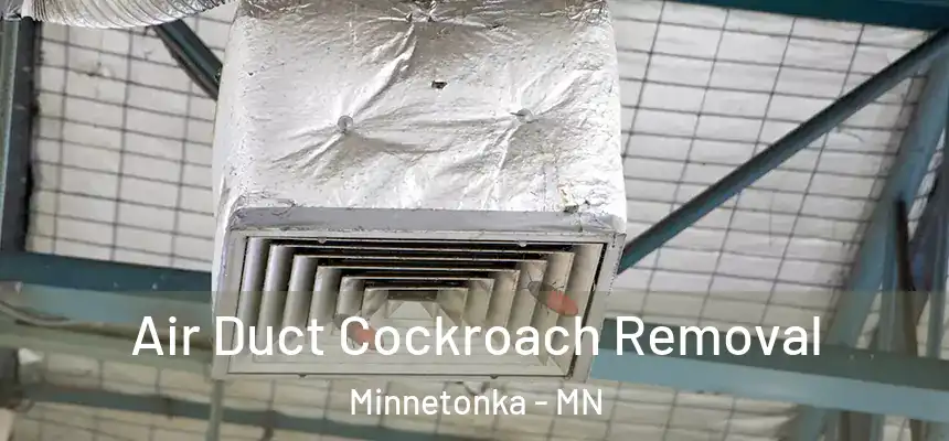 Air Duct Cockroach Removal Minnetonka - MN