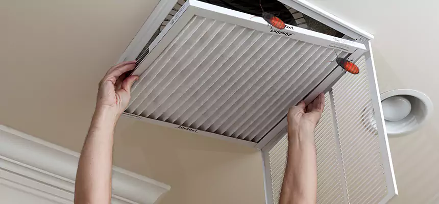 Preventive Cockroach-Proofing for Ducts in Minnetonka