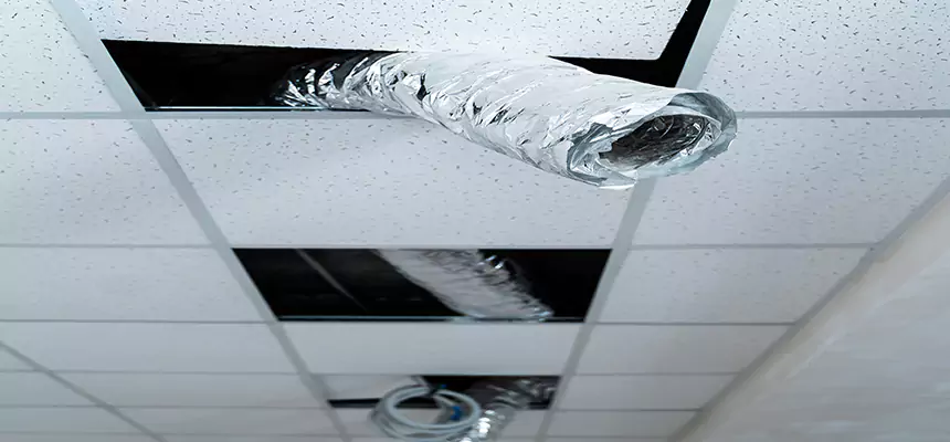 Our Air Duct Pet Hair Removal Services in Minnetonka, MN