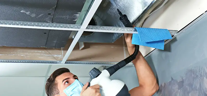 Our Air Duct Rodent Removal Services in Minnetonka, MN