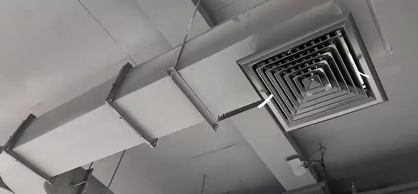 Restorative Allergy Relief Vent Cleaning – Coil, Blower & Housing Detail in Minnetonka