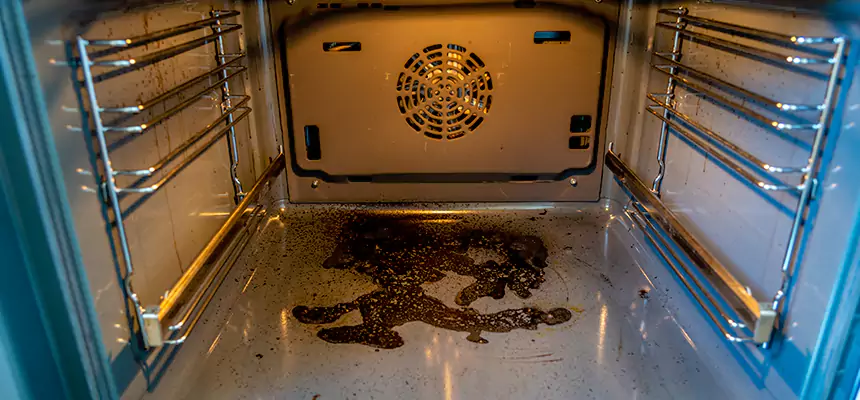 Our Dryer Vent Mold Cleaning Services in Minnetonka, MN