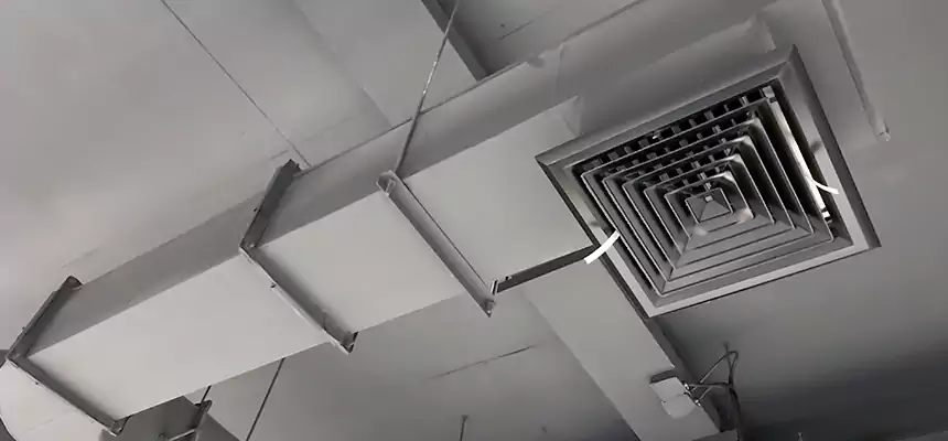 Our Pest Removal From Ducts Services in Minnetonka, MN