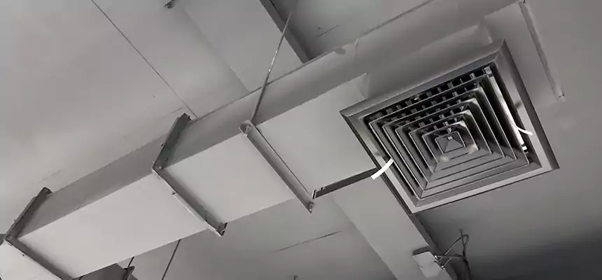 Our Rodent Droppings In Vents Services in Minnetonka, MN