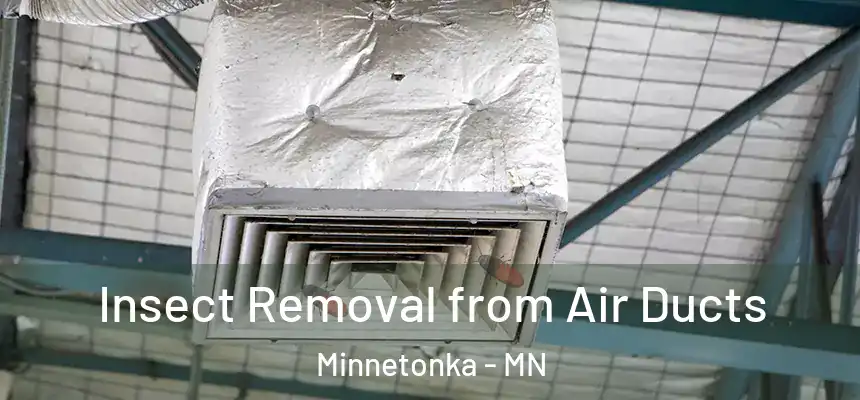  Insect Removal from Air Ducts Minnetonka - MN