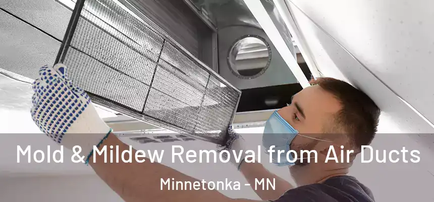 Mold & Mildew Removal from Air Ducts Minnetonka - MN