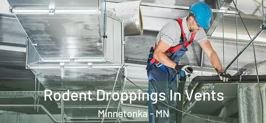  Rodent Droppings In Vents Minnetonka - MN