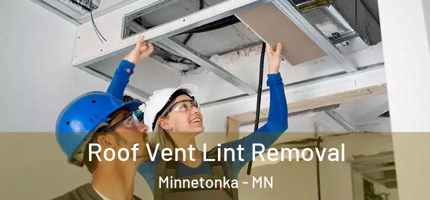  Roof Vent Lint Removal Minnetonka - MN