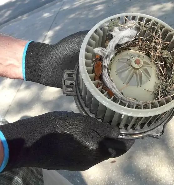 About Air Duct Rat Removal in Minnetonka, MN